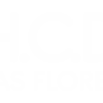 HCDLASFLORESB