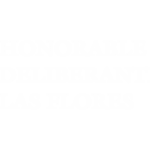 HCDLASFLORESWEB2