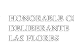 HCDLASFLORESWEB300