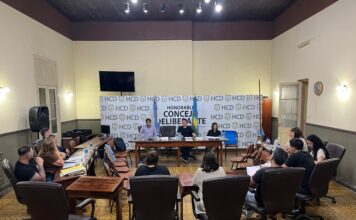 Comisión Plenaria en el Honorable Concejo Deliberante