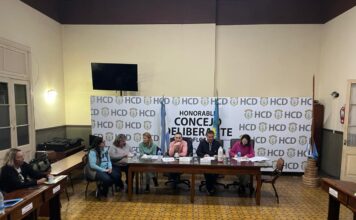 Comisión Plenaria con autoridades del área de Salud