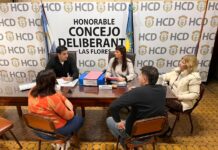 Comisión de Desarrollo Local