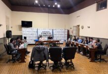 Reunión de Comisión Plenaria en el HCD
