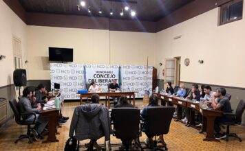 Reunión de Comisión Plenaria en el HCD